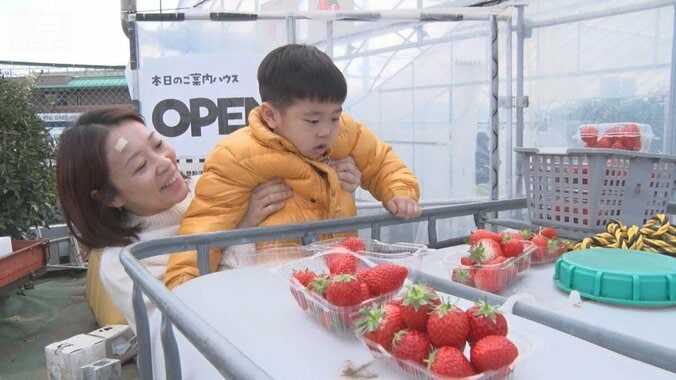 2月に異例　東京都内で25℃超え…甲府市も104年ぶり「夏日」　イチゴ農園には客1000人 1枚目