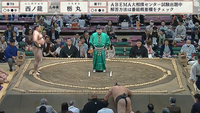 土俵下に落下した栃丸