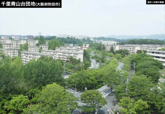 団地ブームが再来！昭和式ハイカラ住居の魅力とは？