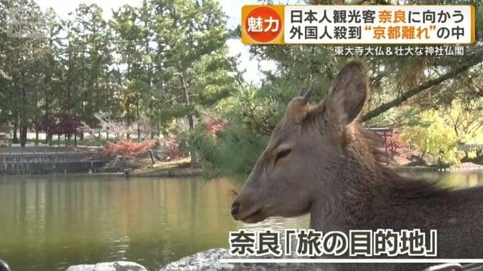 「旅の目的地」として選ばれる奈良