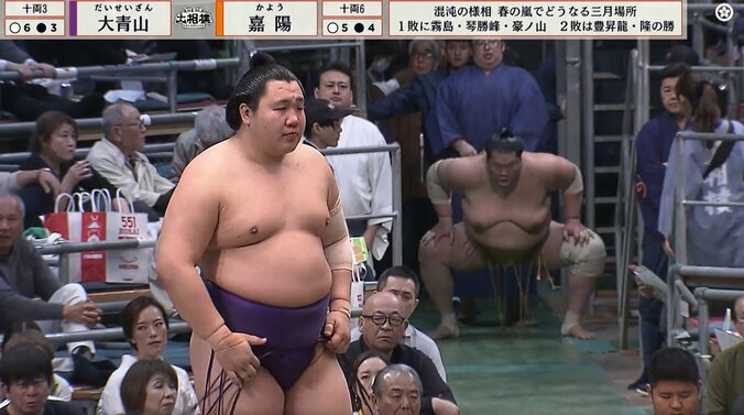 【写真・画像】　1枚目