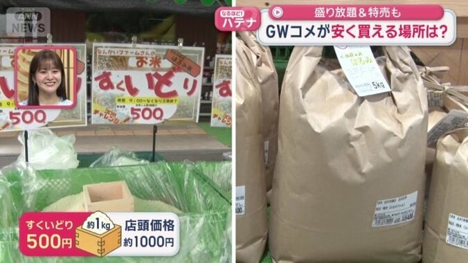 すくいどりだと半額で1キロほどが手に入る