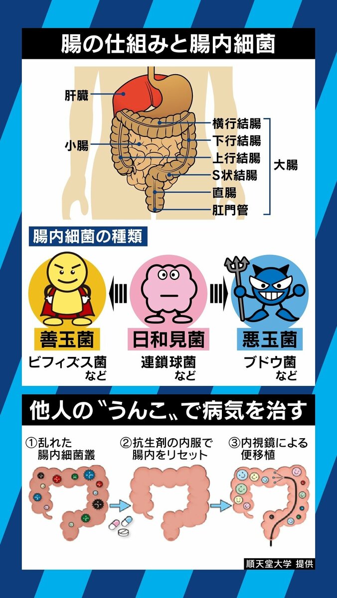 腸内細菌が健康やあらゆる病気につながっている?研究が進む「うんこ」の可能性 2枚目