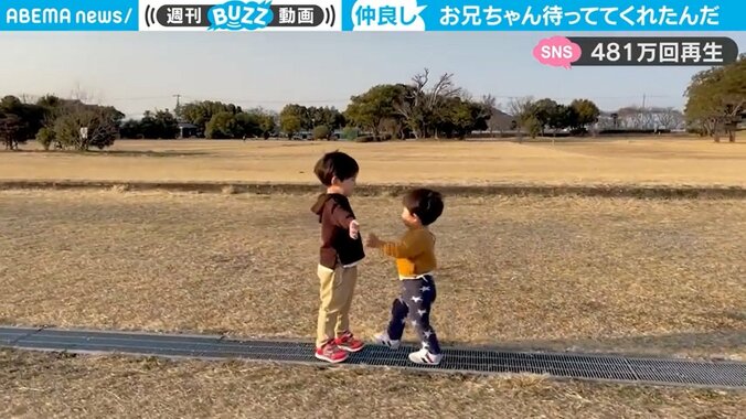 「全ママパパが泣く」お兄ちゃんの懐に“よちよち”歩きの弟が…幼い兄弟の心温まる光景に500万人が感動 1枚目