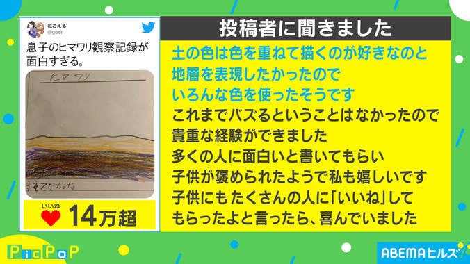 息子のヒマワリ観察記録に書かれた衝撃の内容！ 地層を表現した絵に「才能は開花してる」の声 2枚目