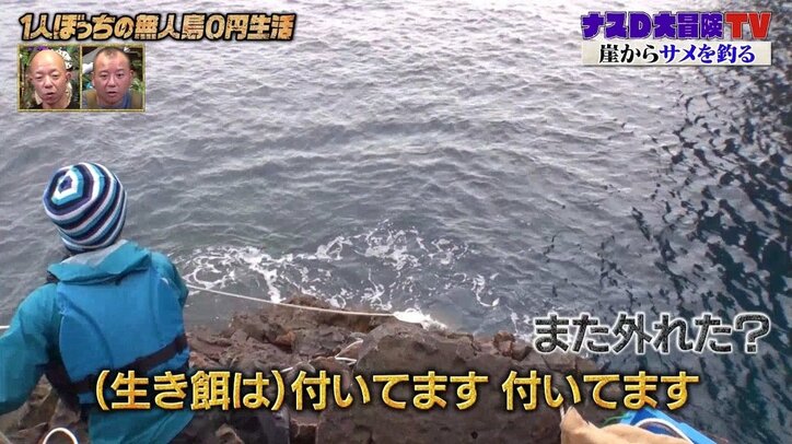 サメが海面の生き餌を捕食する瞬間、ナスDは…「恐怖心よりも神々しさを感じた」