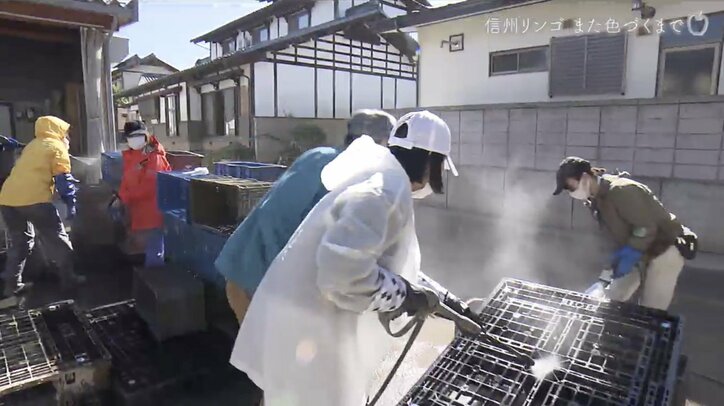 被害総額1億円超、家族とも離れ…それでも地域と仲間のために立ち上がったリンゴ農家