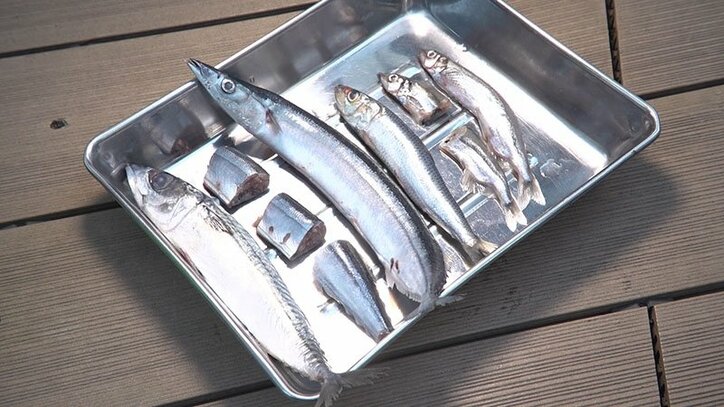 動物たちの可愛すぎる“食事タイム”に密着! ホワイトタイガーこだわりのディナーとは?