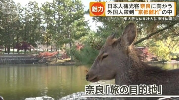 「旅の目的地」として選ばれる奈良