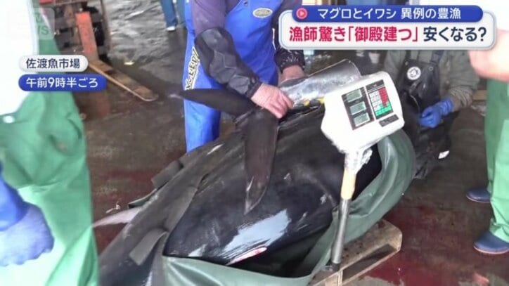 一番の大物