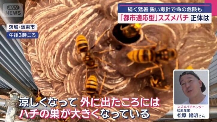 猛暑の影響で危険が増加?