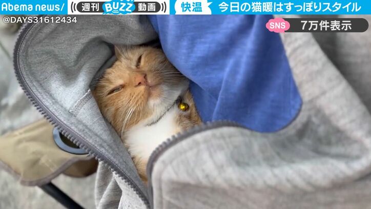飼い主の懐にすっぽりハマりぽかぽかな猫…ちゃっかり暖をとる姿が気持ち良さそうと話題に「最強です」