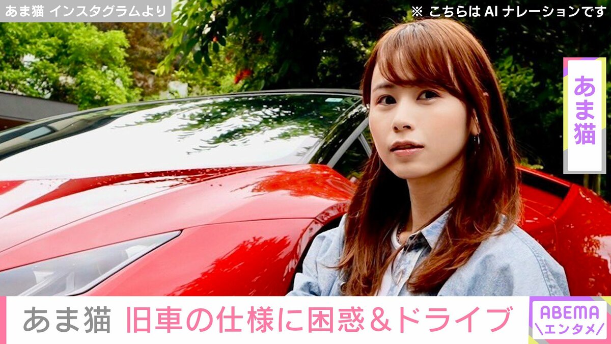 複数の高級車所有” あま猫、1990年式ホンダNSX NA1の仕様に困惑&首都高