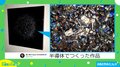 大量の半導体が“輝くアート”に変身 「宇宙かと思った…」「見る角度によってぜんぜん変わる」絶賛の声