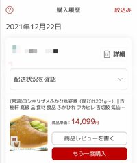 だいたひかる『クリスマスの食材購入』