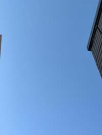 堀ちえみ『土曜日です!お日さまがキラキラきれいな朝』