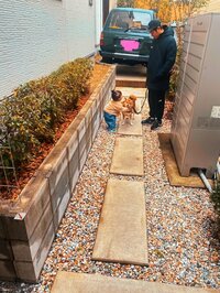 尾形あい『パパがイヤイヤ期に直面したら』