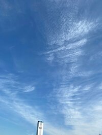 よめぽん（ANZEN漫才あらぽん嫁）『本当にありがとうございます！』