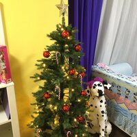 ぺこ『Christmas party★』