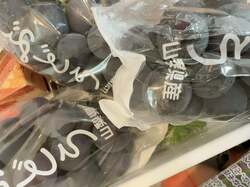  川崎希、ふるさと納税の返礼品を公開「高いから助かるな」 