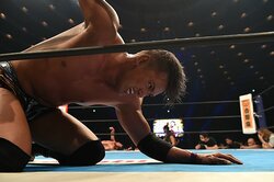 オカダ王座防衛記録更新なるか、ストップ・ザ・鈴木軍…新日本プロレス、2017年後半戦はどうなる？