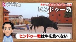 オナラが静電気に引火し牛小屋が大爆発！ ナスDが語るメタンガスを放出する“牛の体の豆知識”