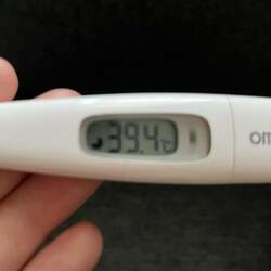  だいたひかる、新型コロナ感染直後より酷くなっている症状「卸金で喉を擦られたような痛み」 