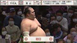 千代丸のまるまるとしたお腹は“マリトッツォのようなお腹”？ 視聴者のたとえにスイーツ親方も納得「そうかもしれませんね」