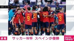 サッカーW杯 スペインが優勝