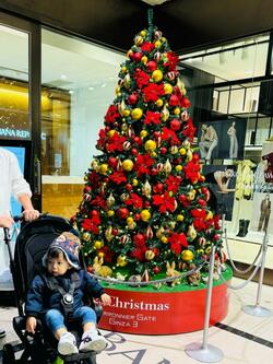  だいたひかる、再び受ける検査を前に心境を吐露「恐怖症みたいになってしまっています」 