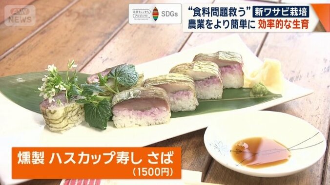 燻製 ハスカップ寿し さば