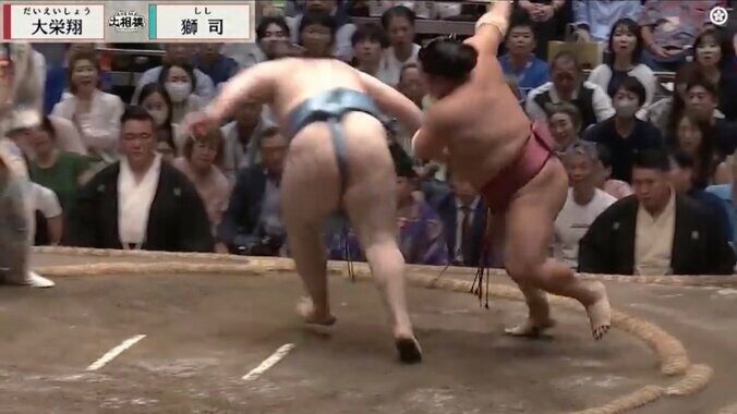 獅司をいなす大栄翔