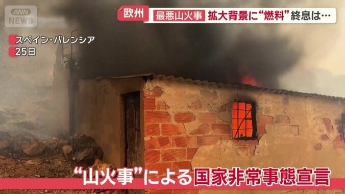 “山火事”による国家非常事態宣言