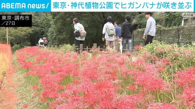 東京・調布市