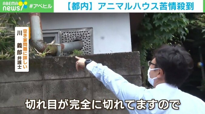 都心に現れた謎の廃墟群「アニマルハウス」 蚊の大量発生に不審者出没…苦情殺到も管轄区が対応できないワケ 4枚目