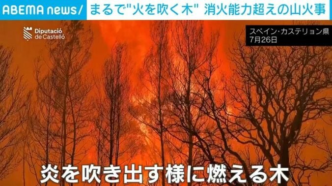 山火事