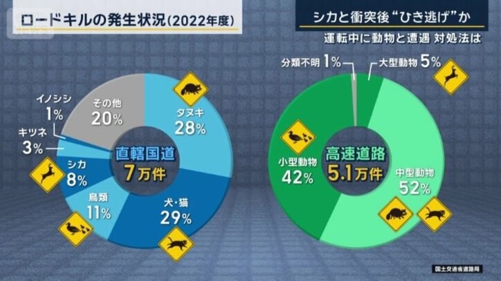 ロードキルの発生状況