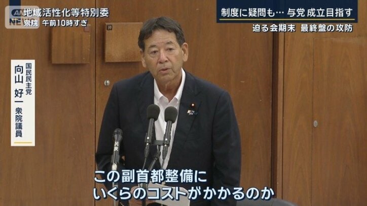 国民民主党 向山好一衆院議員