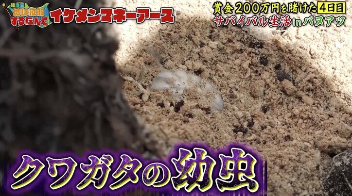 『西郷どん』出演のイケメン俳優、クワガタの幼虫を食べ絶叫…リアルな“顏芸”に賞賛の声！