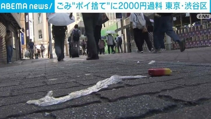 ごみのポイ捨て