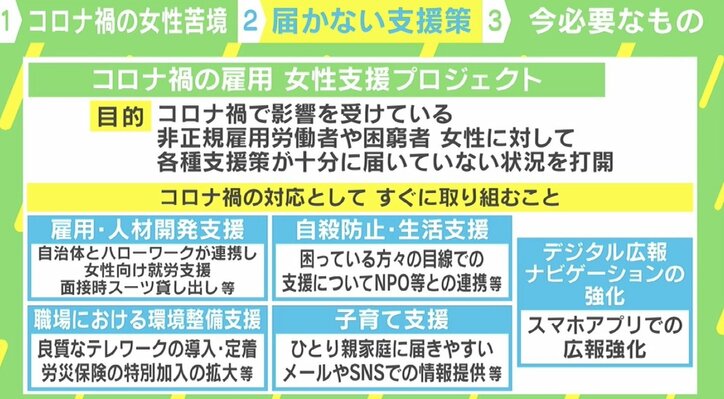 三原じゅん子厚労副大臣、コロナ禍の女性支援に「まったく届いていない」