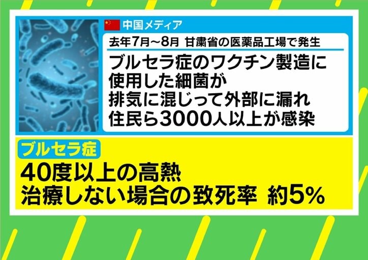 ブルセラ症の症状