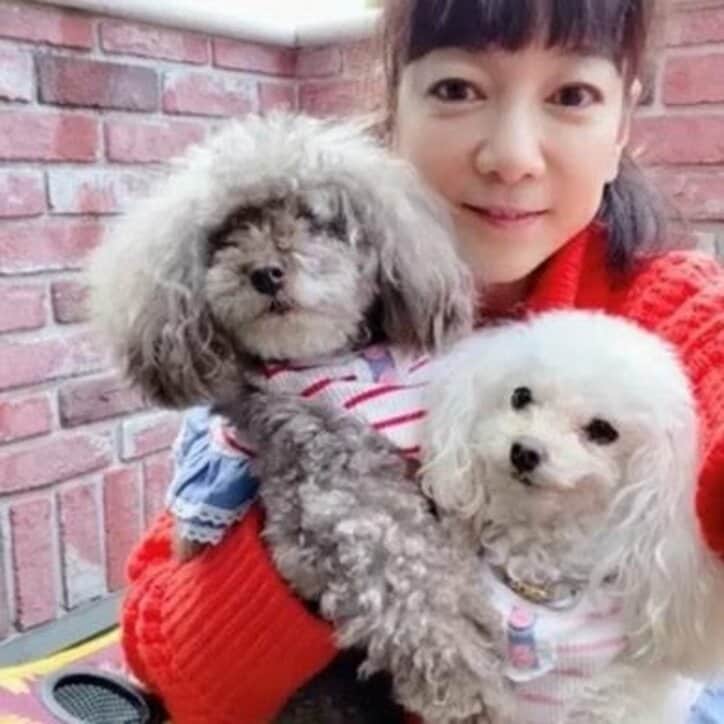 堀ちえみ、外出自粛中の人に動画でエール「涙出ました」「頑張れます」の声