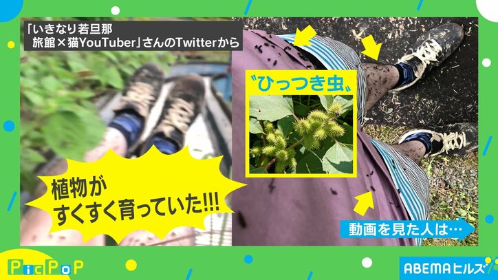 「地獄絵図や…」大自然のすべり台で投稿者の身に起きた“災難”に爆笑の嵐 1枚目