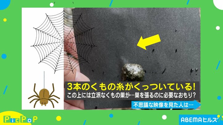 ひとりでにユラユラ… 庭に現れた“浮遊する石”に「CGじゃないのか!?」「見れば見るほど不思議…」と驚きの声