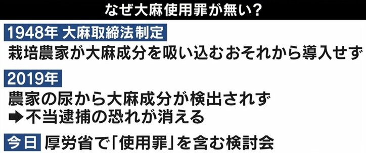 厚労省が法改正を検討 大麻使用罪 創設は必要か 国内 Abema Times