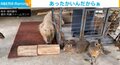 マーラとカピバラの時が止まる? 気温マイナス4度、ストーブを囲んで動かなくなる姿に「はく製展示?」「静止画のよう」反響