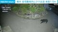 栃木 住宅敷地内にクマ出没 体長1.5m