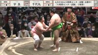 【映像】「か、かわいい」立ち合い不成立の力士の振る舞い