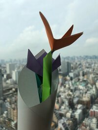 安美錦竜児『誕生日』